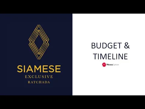 BUDGET & TIMELINE