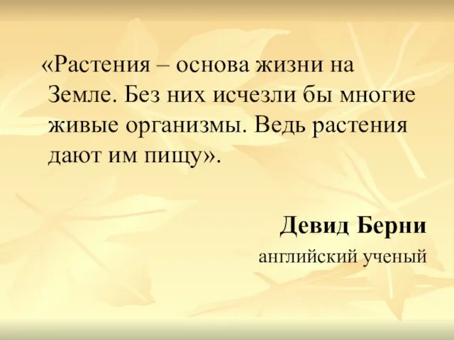 «Растения – основа жизни на Земле. Без них исчезли бы многие