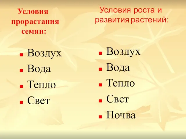 Условия прорастания семян: Воздух Вода Тепло Свет Воздух Вода Тепло Свет