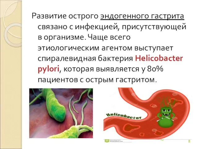 Развитие острого эндогенного гастрита связано с инфекцией, присутствующей в организме. Чаще