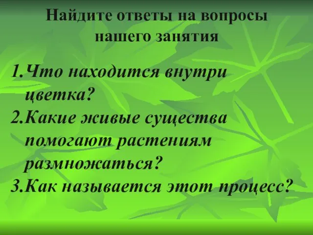 Найдите ответы на вопросы нашего занятия Что находится внутри цветка? Какие