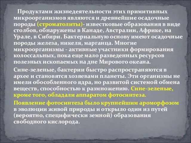 Продуктами жизнедеятельности этих примитивных микроорганизмов являются и древнейшие осадочные породы (строматолиты)-