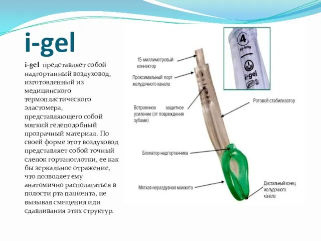 i-gel i-gel представляет собой надгортанный воздуховод, изготовленный из медицинского термопластического эластомера,