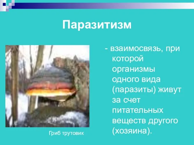 Паразитизм - взаимосвязь, при которой организмы одного вида (паразиты) живут за