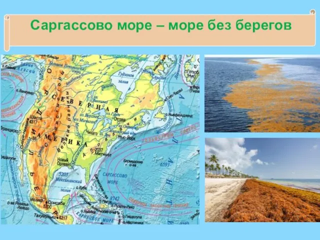 Саргассово море – море без берегов