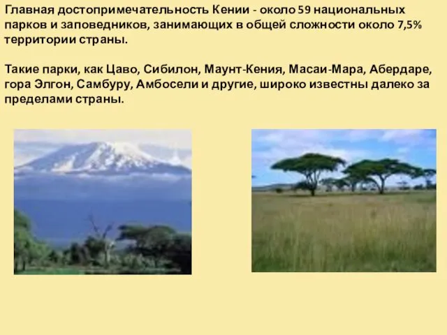 Главная достопримечательность Кении - около 59 национальных парков и заповедников, занимающих