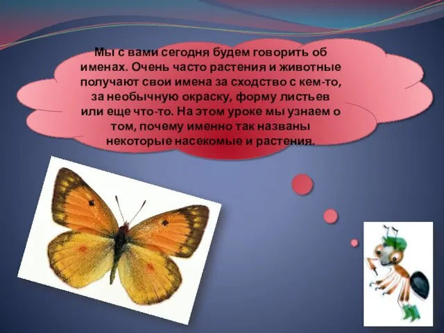 Мы с вами сегодня будем говорить об именах. Очень часто растения