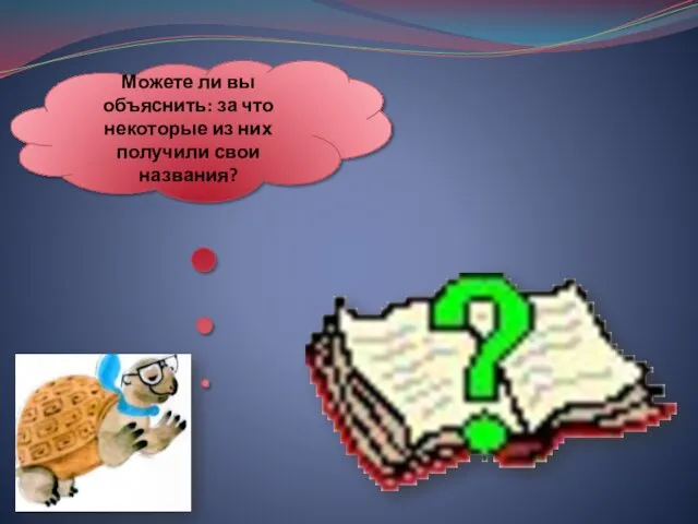 Можете ли вы объяснить: за что некоторые из них получили свои названия?