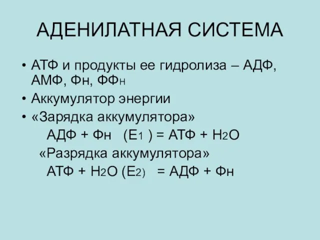 АДЕНИЛАТНАЯ СИСТЕМА АТФ и продукты ее гидролиза – АДФ, АМФ, Фн,