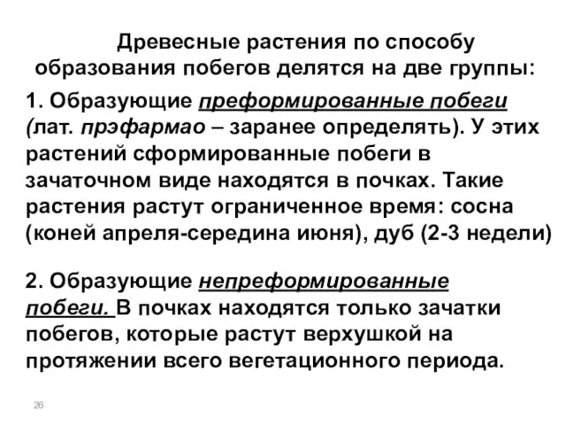 Древесные растения по способу образования побегов делятся на две группы: 1.