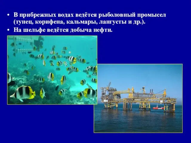 В прибрежных водах ведётся рыболовный промысел (тунец, корифена, кальмары, лангусты и