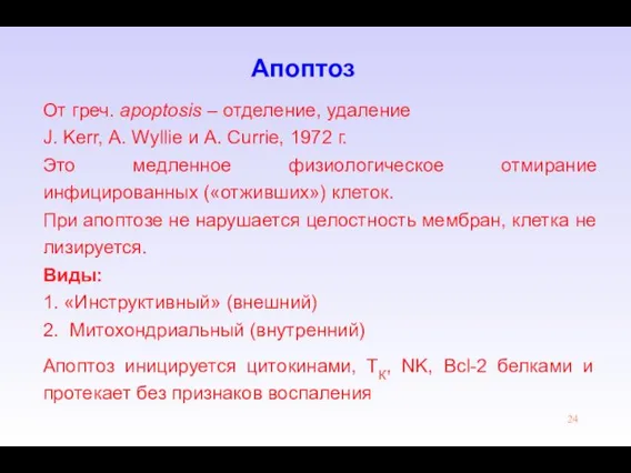 Апоптоз От греч. аpoptosis – отделение, удаление J. Kerr, А. Wyllie