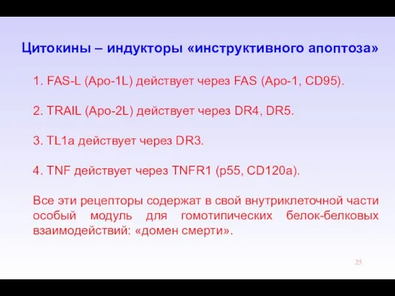 1. FAS-L (Apo-1L) действует через FAS (Apo-1, CD95). 2. TRAIL (Apo-2L)