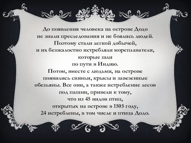 До появления человека на острове Додо не знали преследования и не