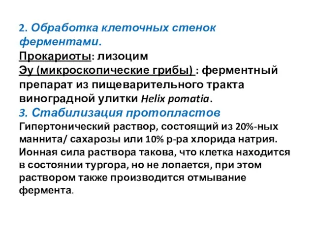 2. Обработка клеточных стенок ферментами. Прокариоты: лизоцим Эу (микроскопические грибы) :