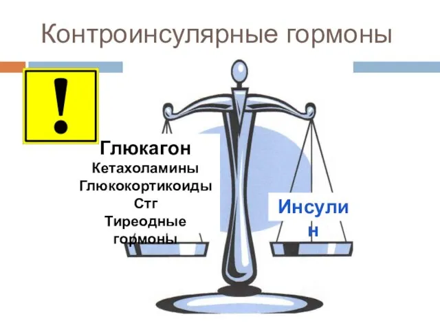 Контроинсулярные гормоны Глюкагон Кетахоламины Глюкокортикоиды Стг Тиреодные гормоны Инсулин