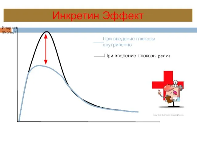 Инкретин Эффект При введение глюкозы внутривенно При введение глюкозы per os Инсулин пмоль/l