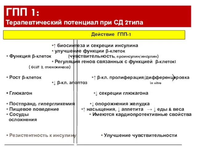 Действие ГПП-1 •↑ биосинтеза и секреции инсулина • улучшение функции β-клеток