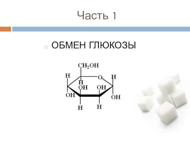 Часть 1 ОБМЕН ГЛЮКОЗЫ