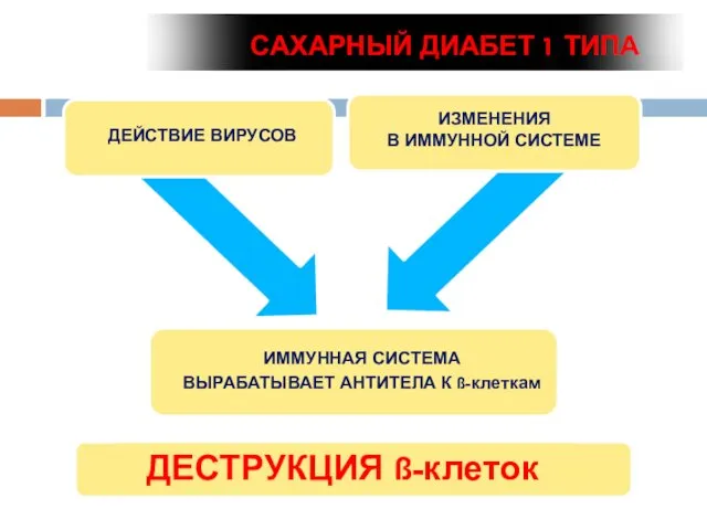 Жить, побеждая диабет! ДЕСТРУКЦИЯ ß-клеток САХАРНЫЙ ДИАБЕТ 1 ТИПА