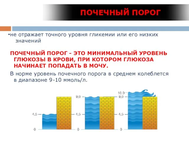 не отражает точного уровня гликемии или его низких значений ПОЧЕЧНЫЙ ПОРОГ