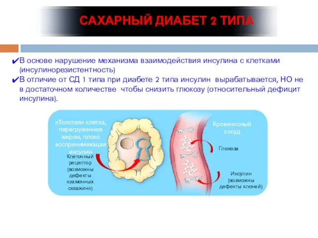 САХАРНЫЙ ДИАБЕТ 2 ТИПА В основе нарушение механизма взаимодействия инсулина с