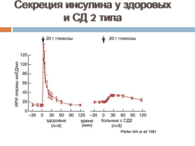 Секреция инсулина у здоровых и СД 2 типа