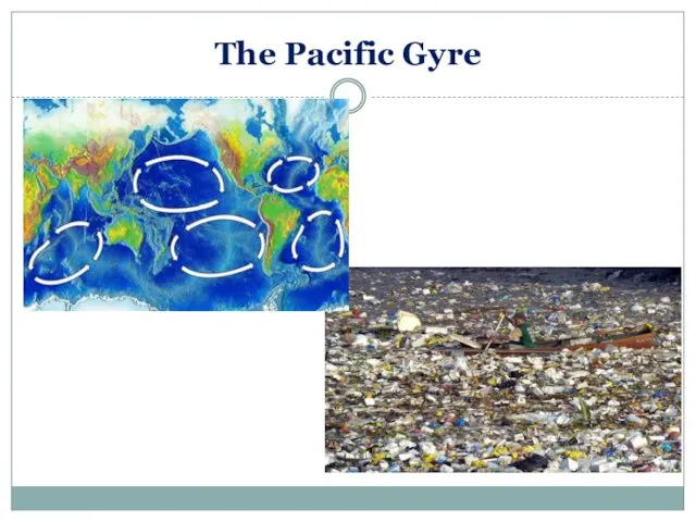 The Pacific Gyre