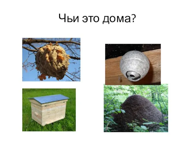 Чьи это дома?