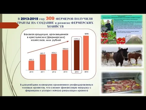 Валовая продукция, произведенная в крестьянских (фермерских) хозяйствах, млн. рублей 2015 1890