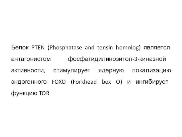 Белок PTEN (Phosphatase and tensin homolog) является антагонистом фосфатидилинозитол-3-киназной активности, стимулирует