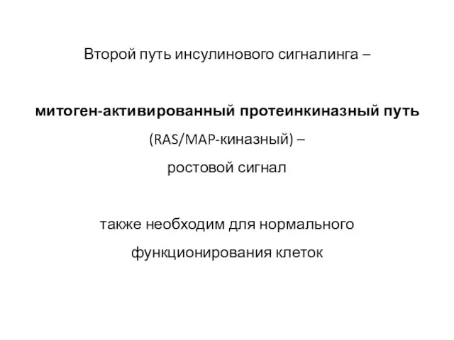 Второй путь инсулинового сигналинга – митоген-активированный протеинкиназный путь (RAS/MAP-киназный) – ростовой