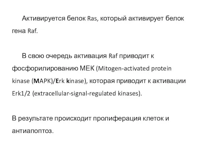 Активируется белок Ras, который активирует белок гена Raf. В свою очередь