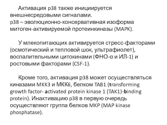 Активация p38 также инициируется внешнесредовыми сигналами. p38 – эволюционно-консервативная изоформа митоген-активируемой