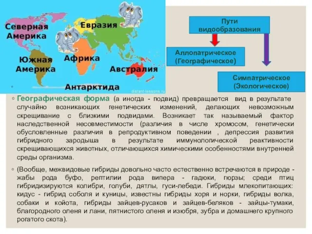 Географическая форма (а иногда - подвид) превращается вид в результате случайно