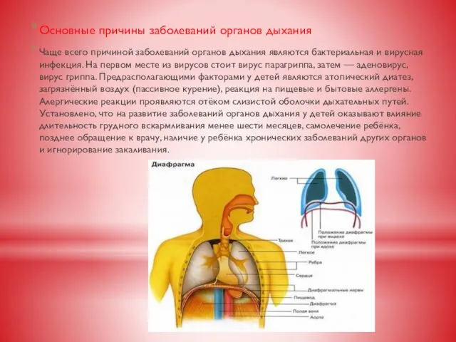 Основные причины заболеваний органов дыхания Чаще всего причиной заболеваний органов дыхания