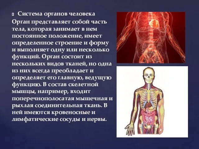 Система органов человека Орган представляет собой часть тела, которая занимает в