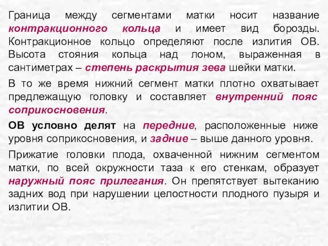 Граница между сегментами матки носит название контракционного кольца и имеет вид