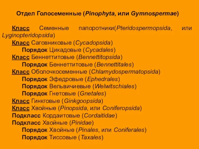 Отдел Голосеменные (Pinophyta, или Gymnospermae) Класс Семенные папоротники(Pteridospermopsida, или Lyginopteridopsida) Класс