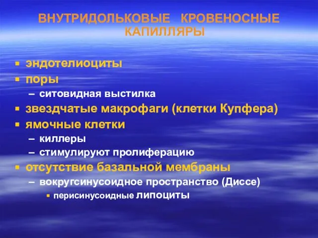 ВНУТРИДОЛЬКОВЫЕ КРОВЕНОСНЫЕ КАПИЛЛЯРЫ эндотелиоциты поры ситовидная выстилка звездчатые макрофаги (клетки Купфера)