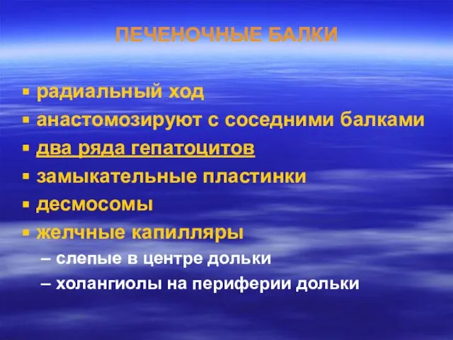 ПЕЧЕНОЧНЫЕ БАЛКИ радиальный ход анастомозируют с соседними балками два ряда гепатоцитов