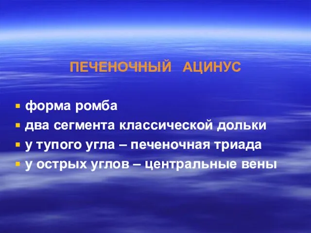 ПЕЧЕНОЧНЫЙ АЦИНУС форма ромба два сегмента классической дольки у тупого угла