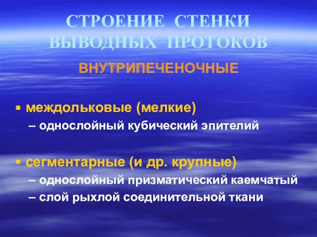 СТРОЕНИЕ СТЕНКИ ВЫВОДНЫХ ПРОТОКОВ ВНУТРИПЕЧЕНОЧНЫЕ междольковые (мелкие) однослойный кубический эпителий сегментарные