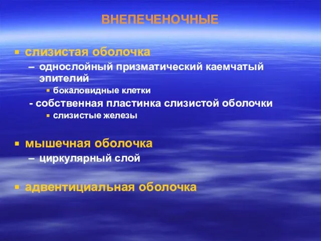 ВНЕПЕЧЕНОЧНЫЕ слизистая оболочка однослойный призматический каемчатый эпителий бокаловидные клетки - собственная