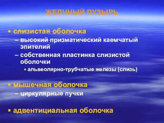 ЖЕЛЧНЫЙ ПУЗЫРЬ слизистая оболочка высокий призматический каемчатый эпителий собственная пластинка слизистой