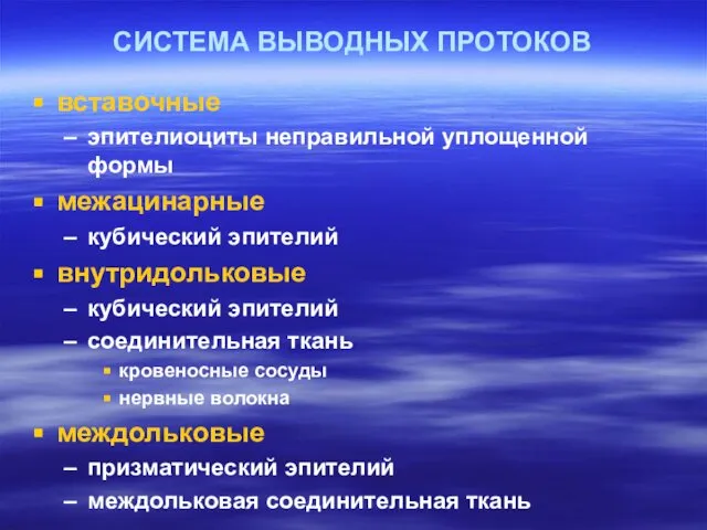 СИСТЕМА ВЫВОДНЫХ ПРОТОКОВ вставочные эпителиоциты неправильной уплощенной формы межацинарные кубический эпителий