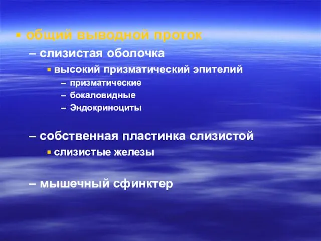 общий выводной проток слизистая оболочка высокий призматический эпителий призматические бокаловидные Эндокриноциты