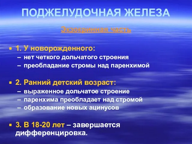 ПОДЖЕЛУДОЧНАЯ ЖЕЛЕЗА Экзокринная часть 1. У новорожденного: нет четкого дольчатого строения