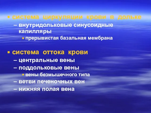 система циркуляции крови в дольке внутридольковые синусоидные капилляры прерывистая базальная мембрана