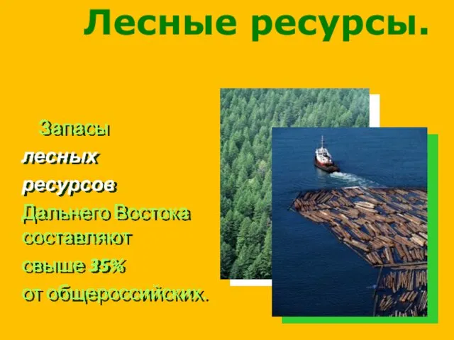 Запасы лесных ресурсов Дальнего Востока составляют свыше 35% от общероссийских. Лесные ресурсы.